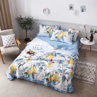 Set chăn hè bèo chất đũi mềm mát