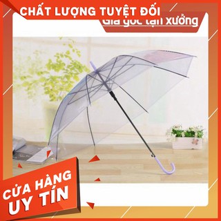 HOT[Sale mùa hè] Sẵn hàng combo 20 ô trong suốt