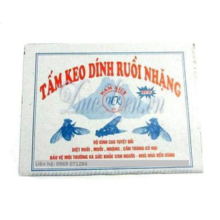 Tấm keo dính ruồi