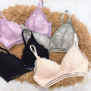 Combo 3 áo su pha ren mút mỏng