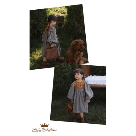 Đầm bé gái tiểu thư babydoll vải thô hàn thu đông thiết kế Hàn Quốc Nhật Bản 10-30kg