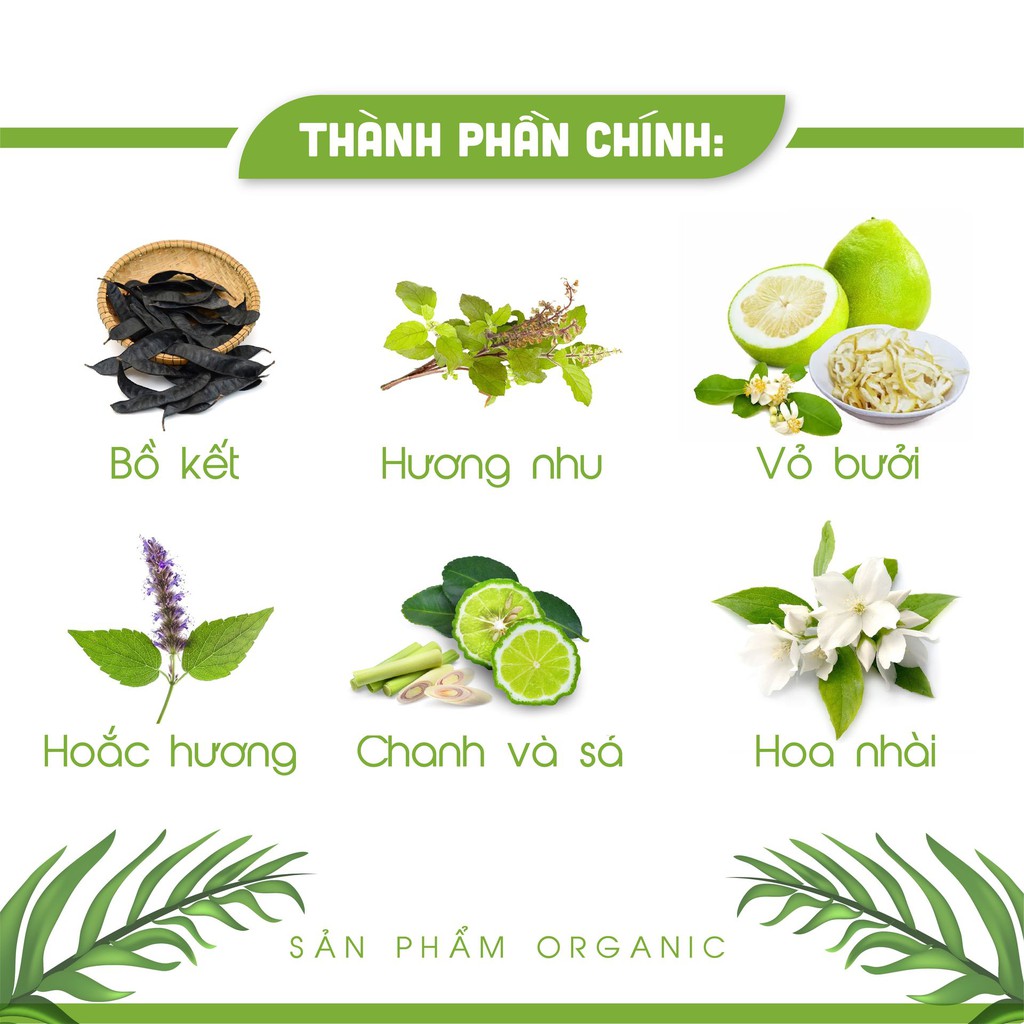 Dầu Gội Bồ Kết An An Tinh Chất Bưởi 300ml, hương thảo mộc Diễm Xưa