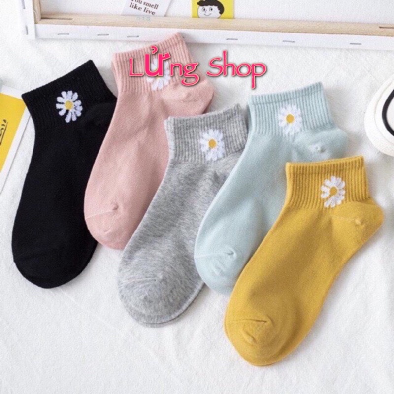 Combo 2 Đôi Tất Nữ Hoa Cúc