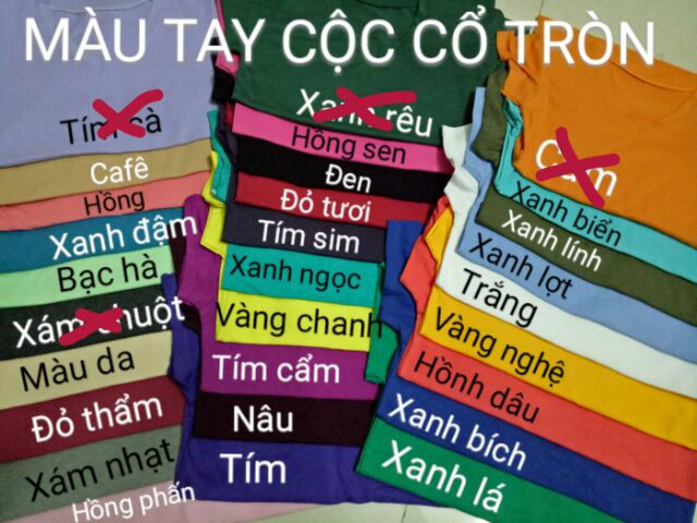 COMBO 12 CÁI ÁO THUN TRƠN