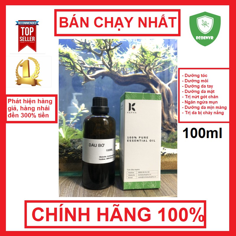 [XẢ KHO] Tinh dầu Bơ 100ml KEPHA