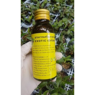 {GIÁ TẬN GỐC } KÍCH RỄ THÁI EXOTIC