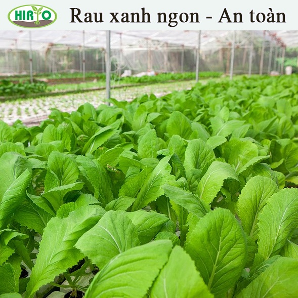 Phân bón dịch trùn quế HIRYO - Thủy phân từ con trùn quế, chăm sóc rau toàn diện