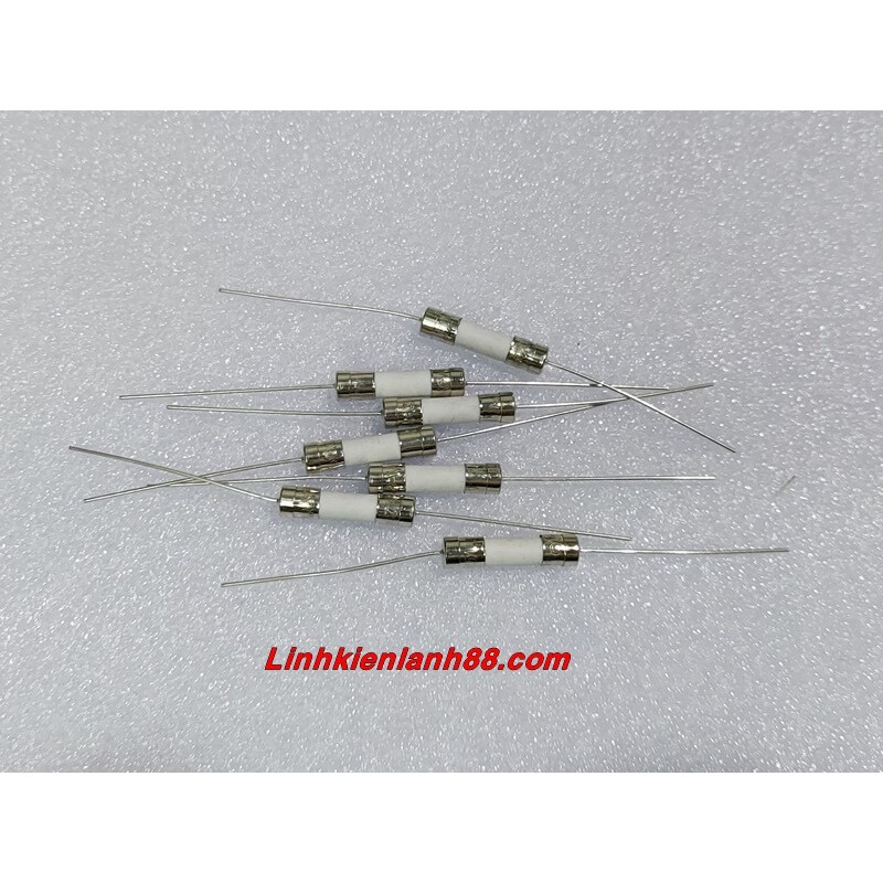 ( 10 cái ) Cầu Chì Sứ Chân Cắm 15A 5*20mm Mới