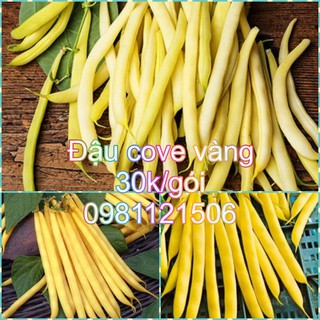Hạt giống đậu đũa vàng. Combo 2 gói tặng 2 viên nén và kích mầm.
