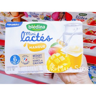 sữa chua Bledina Pháp 6m 12m ( Mẫu Mới)