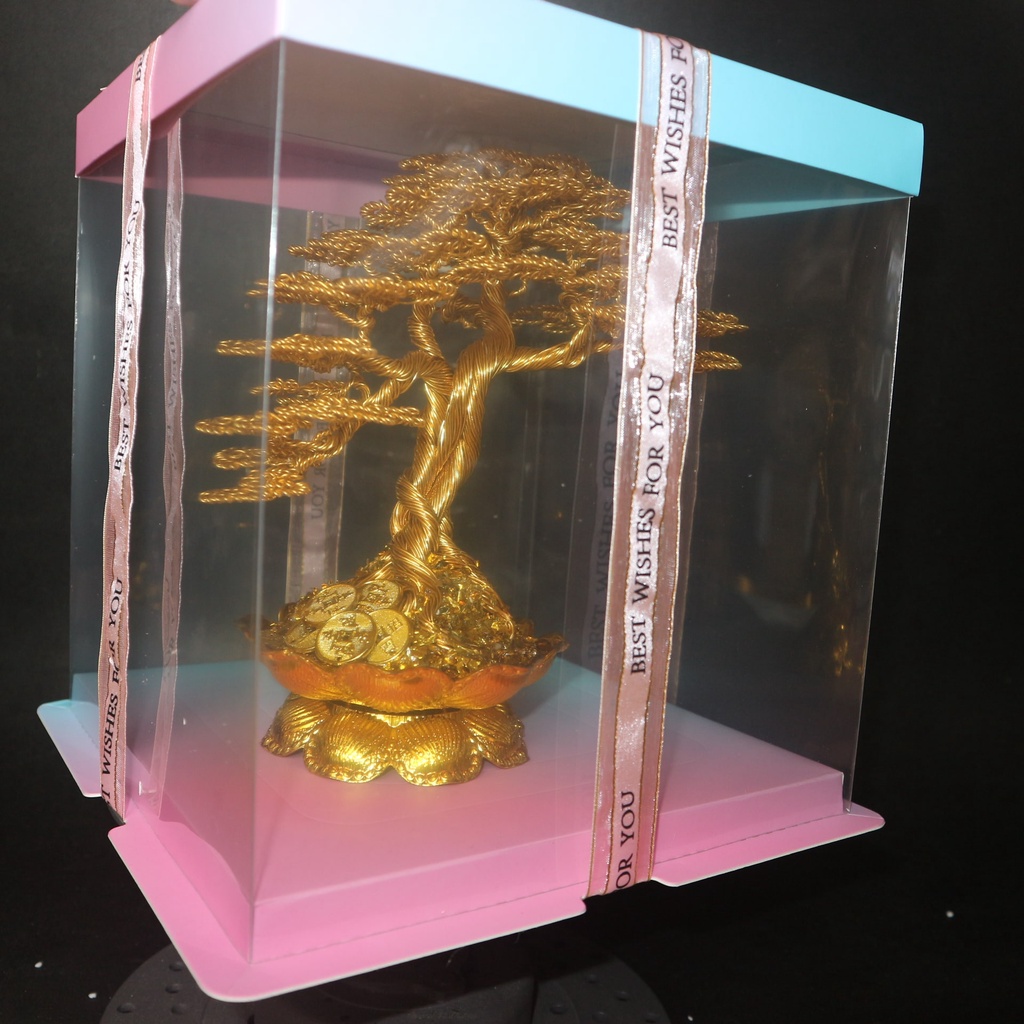 Cây tài lộc bonsai dây nhôm màu có hộp quà, quà Tặng Tân Gia, Khai Trương, Tặng Sếp, Tượng Phong Thủy.