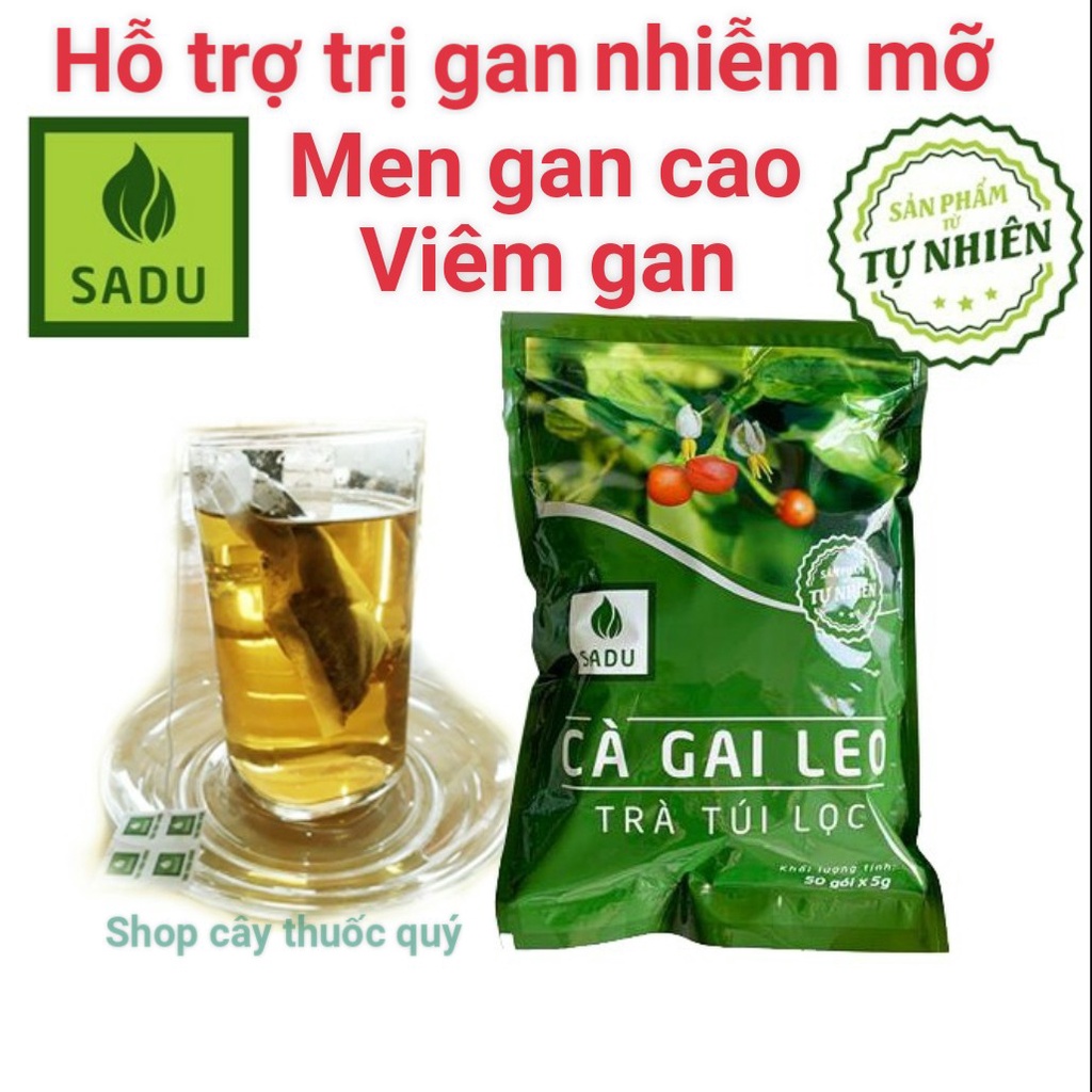 TRÀ CÀ GAI LEO SADU HỖ TRỢ BẢO VỆ VÀ GIÚP CÁC VẤN ĐỀ VỀ GAN-BỊCH 50 TÚI LỌC