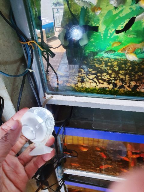 ĐÈN LED ĐỎ THẢ TRONG HOẶC NGOÀI HỒ CÁ MINI LAMP