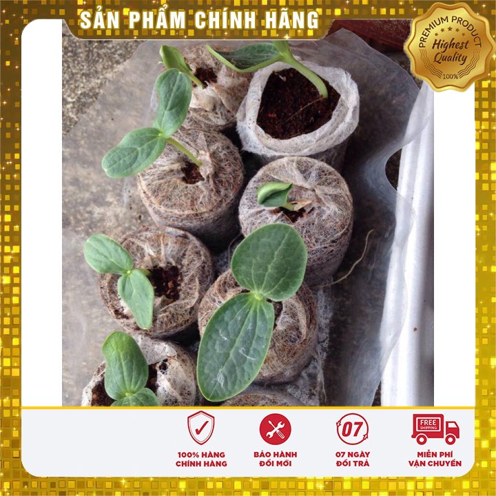 SET 02 GÓI Bí đao cao sản tặng kèm 20 viên nén và 1 phân bón