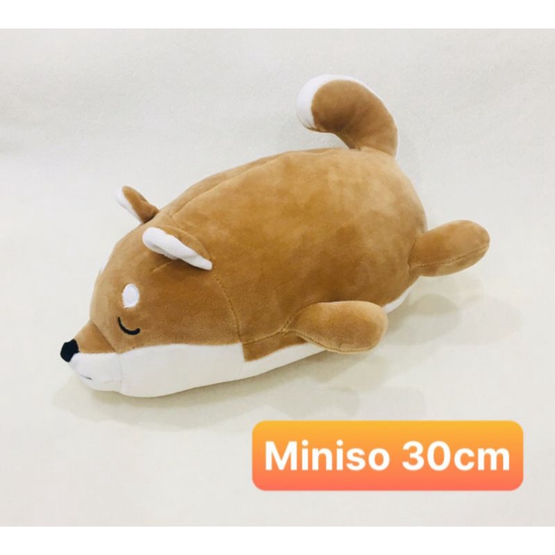Gấu bông chó Shiba chất Miniso.