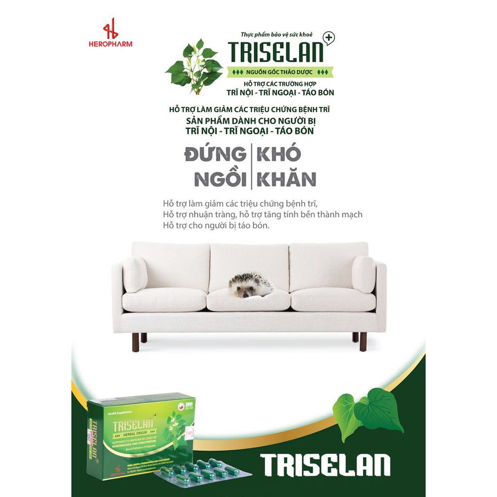 Viên uống hỗ trợ điều trị bênh Trĩ và suy giãn tĩnh mạch TRISELAN+ (3 vỉ x 10 viên)