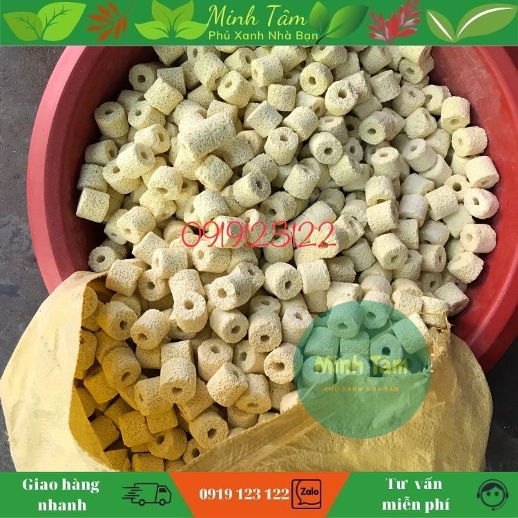 Sứ nhẫn vàng - sứ lọc bể cá gói 500gr