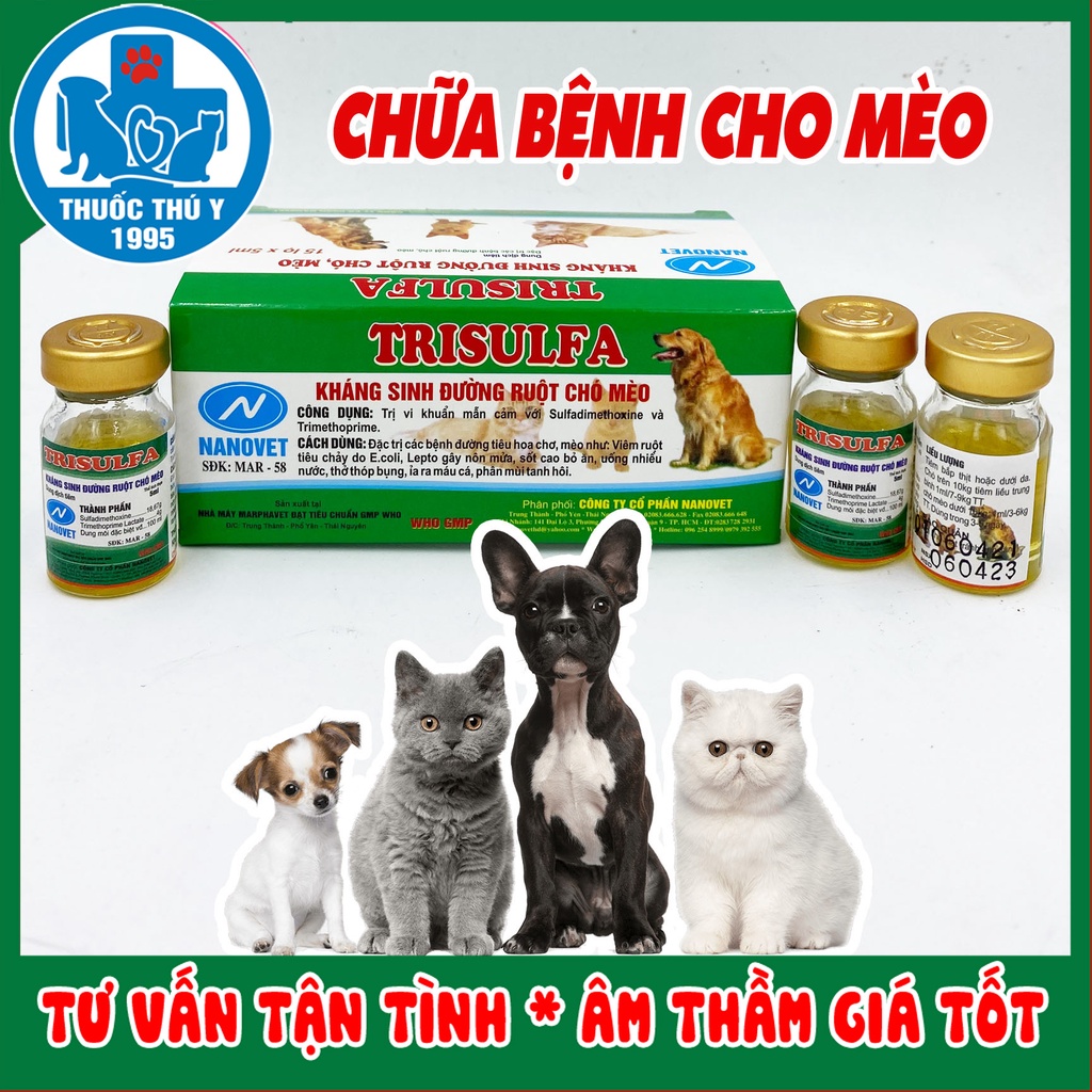 Hộp 5ml x 15 lọ Trisulfa Chữa bệnh đường ruột choe, mèo, thú cảnh