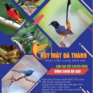 Cám đấu cho chim ăn sâu
