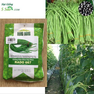 Đậu Đũa Hạt Đen RĐ 667 ( 100 g)