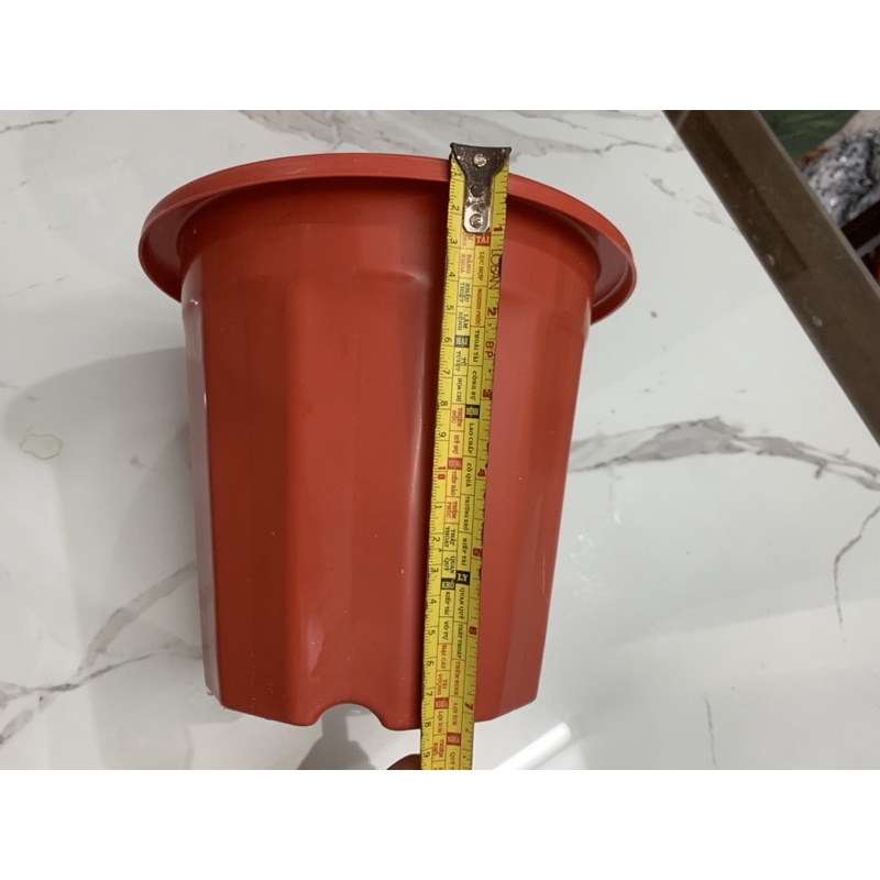 Chậu nhựa trồng ươm cây E230  màu nâu hàng loại 1 dày đẹp