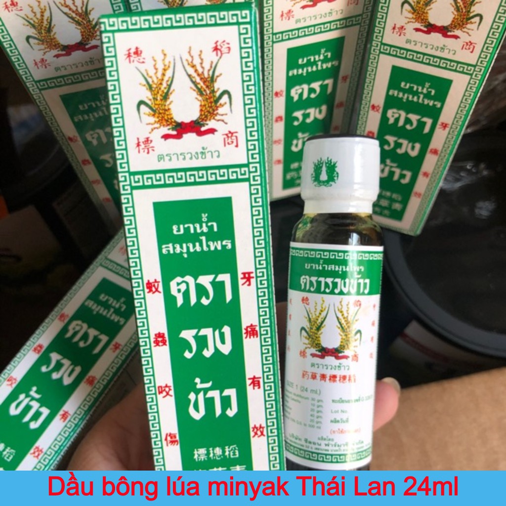 Dầu bông lúa minyak Thái Lan 24ml