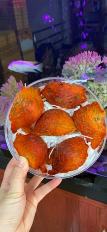YẾN CAM HUYẾT THÔ