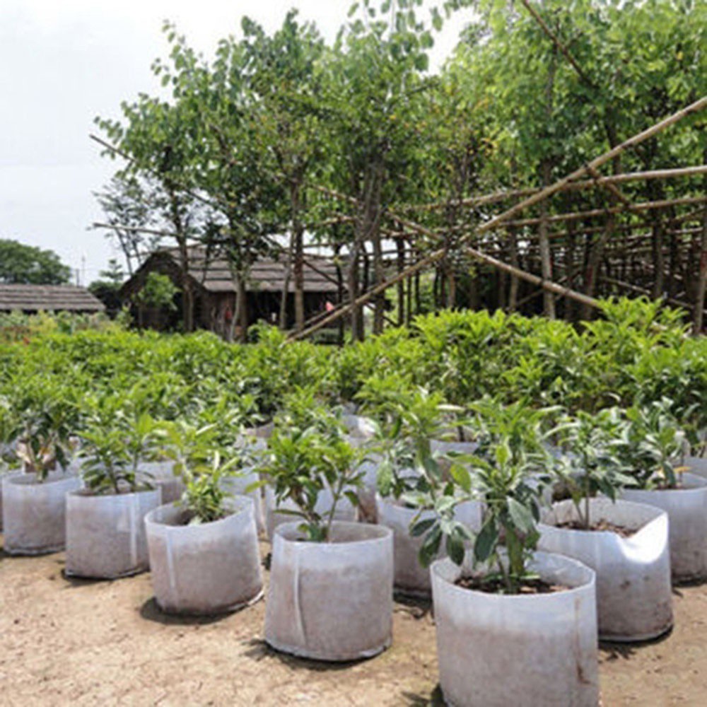 Túi Vải Trồng Cây Thân Thiện Với Môi Trường