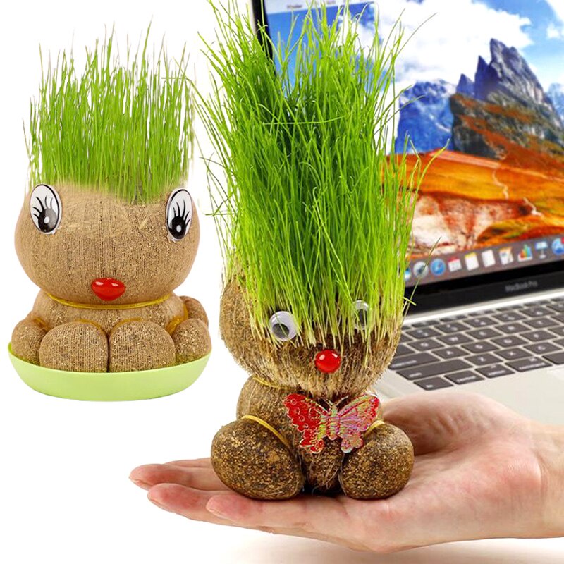 Búp Bê Đầu Hoa Cỏ Dễ Thương Trang Trí Phòng Bàn Làm Việc