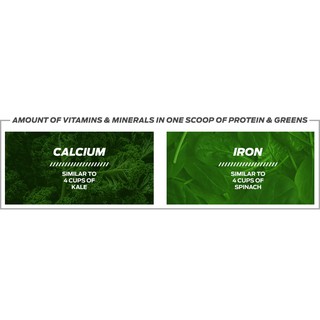 Bột pha sữa thuần chay hữu cơ Vega protein & greens