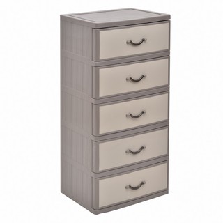 Tủ lớn kẻ 5 tầng song long-t666