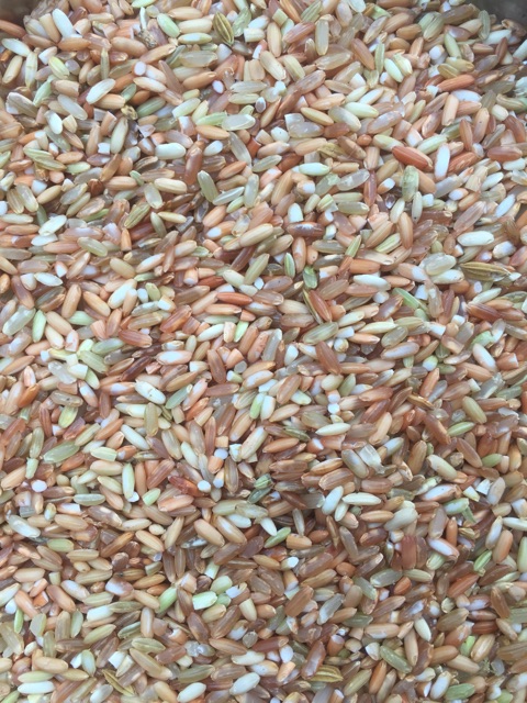 Gạo Lức Đỏ Điện Biên 2kg | BigBuy360 - bigbuy360.vn