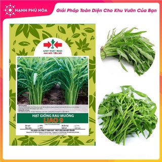 Hạt Giống Cao Cấp Rau Muống Hai Mũi Tên Đỏ - 50g - Dễ Trồng, Dạng Lá Tre Cọng, Nhỏ. Ăn Giòn, Ngọt. Gói 400 Hạt