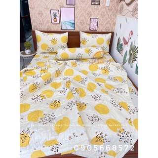 Drap giường 100% coton 4 món không kèm mền sang trọng