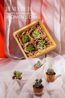 Hộp Giấy Kraft (nhiều màu)