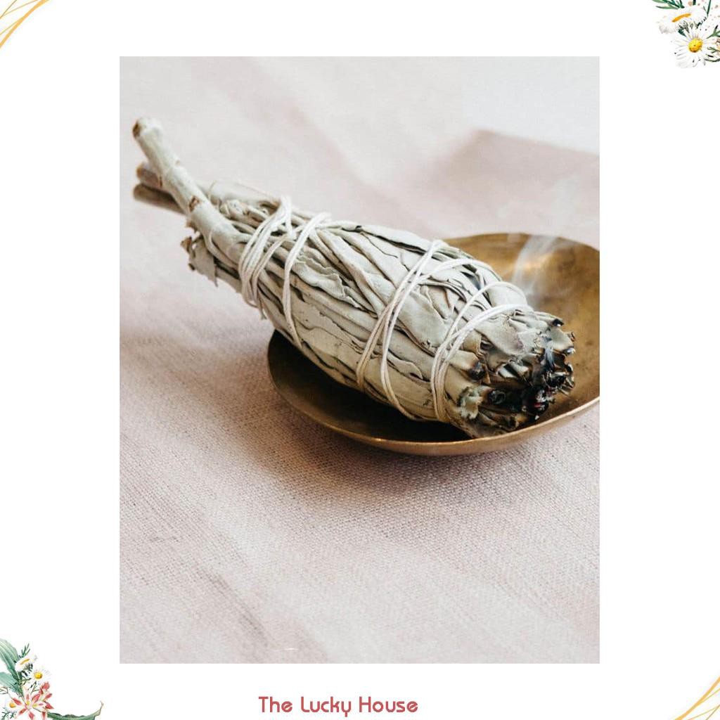 Bó lá mix lá xô thơm trắng và "cây thánh" White Sage + Yerba Santa Smudge Incense 3"-4" Bundle