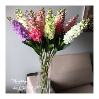 Cành phi yến trang trí