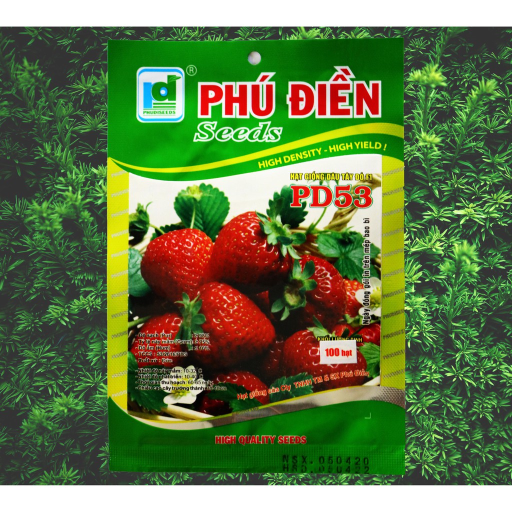 Hạt Giống Dâu Tây