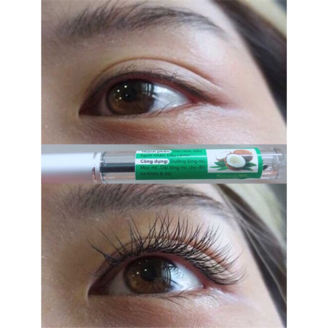 50 cây mascar dầu dừa | BigBuy360 - bigbuy360.vn