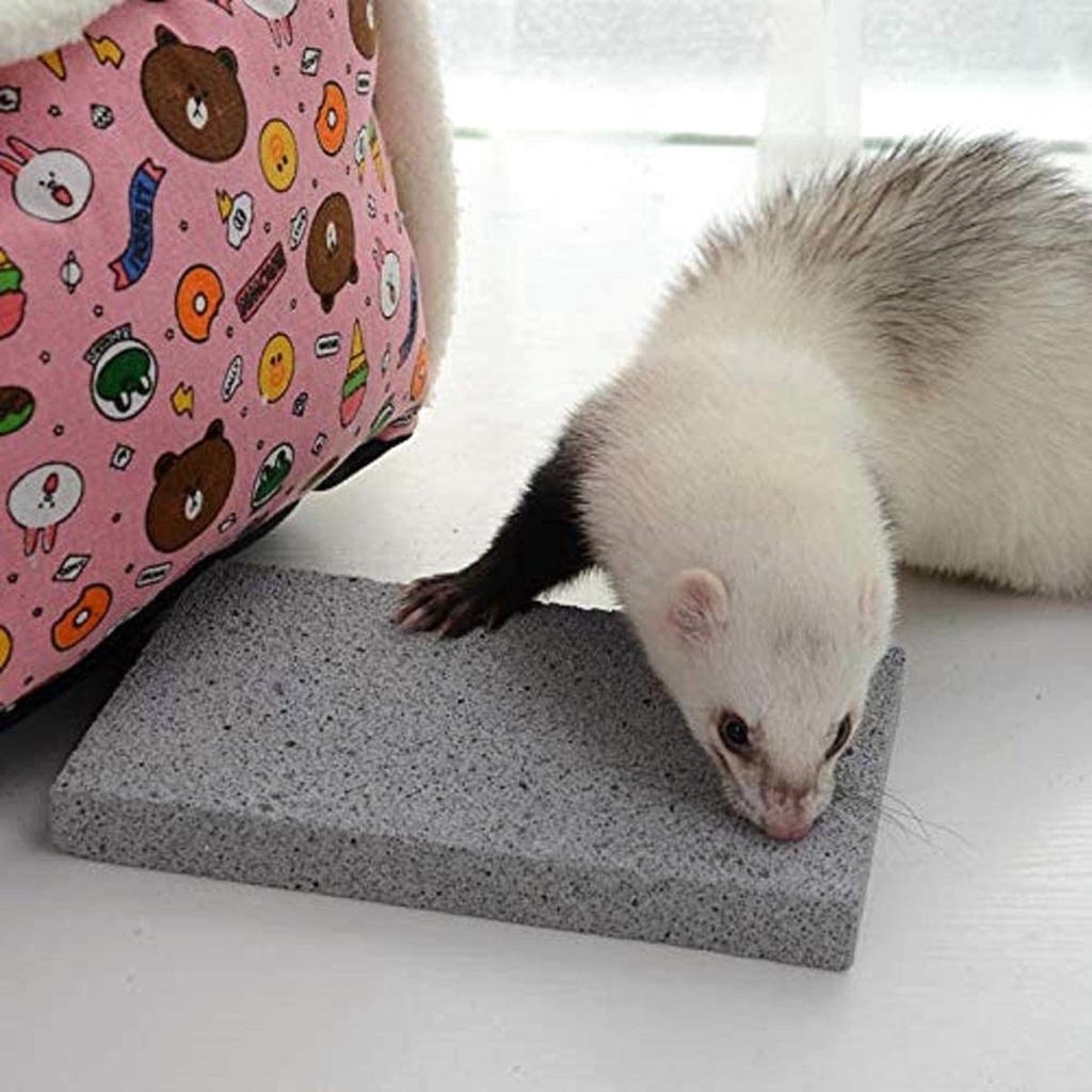 ELLSWORTH Đồ Chơi Bảng Cào Móng Cho Thỏ / Chuột Hamster / Nhím Tự Nhiên