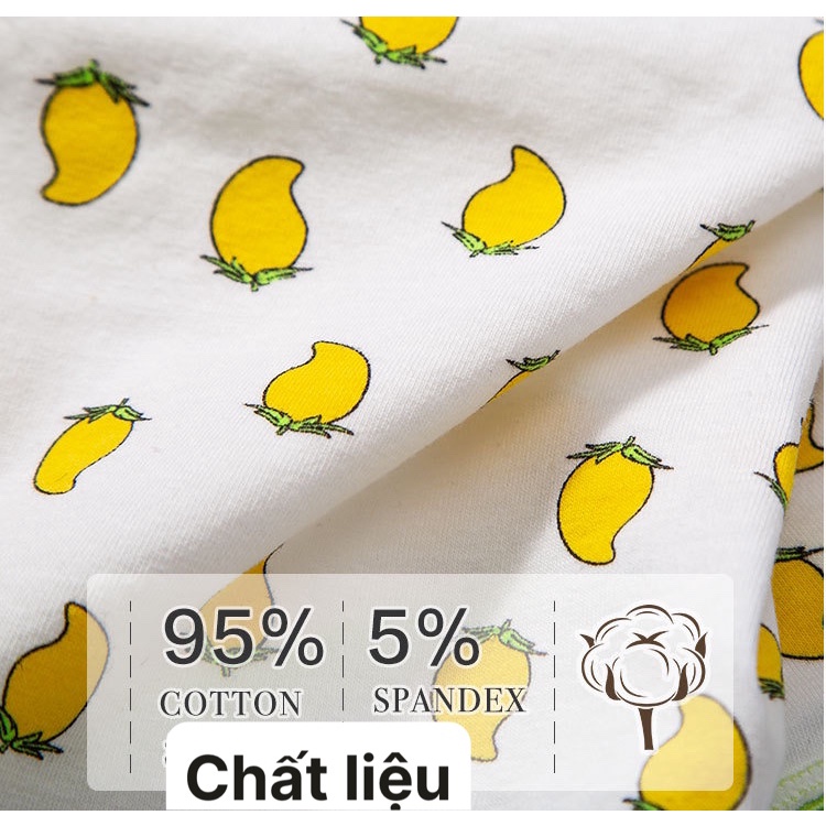 Set 4 quần chip tam giác bé gái 36-46kg Jennie kids J501