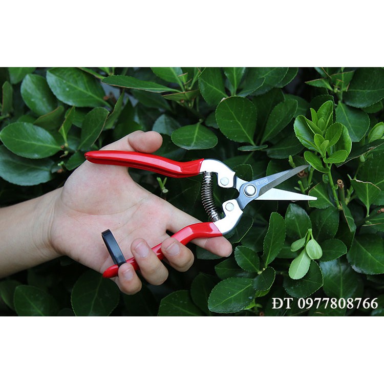 Bộ combo 5 Kéo cắt tỉa rau, hoa, quả, tỉa cành DAEGEE (Giá siêu rẽ) - Đỏ