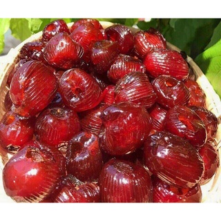 Túi mứt táo thái sấy dẻo tách hạt 500gr không gói hút ẩm