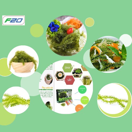 rong nho tách nước 30gr/gói