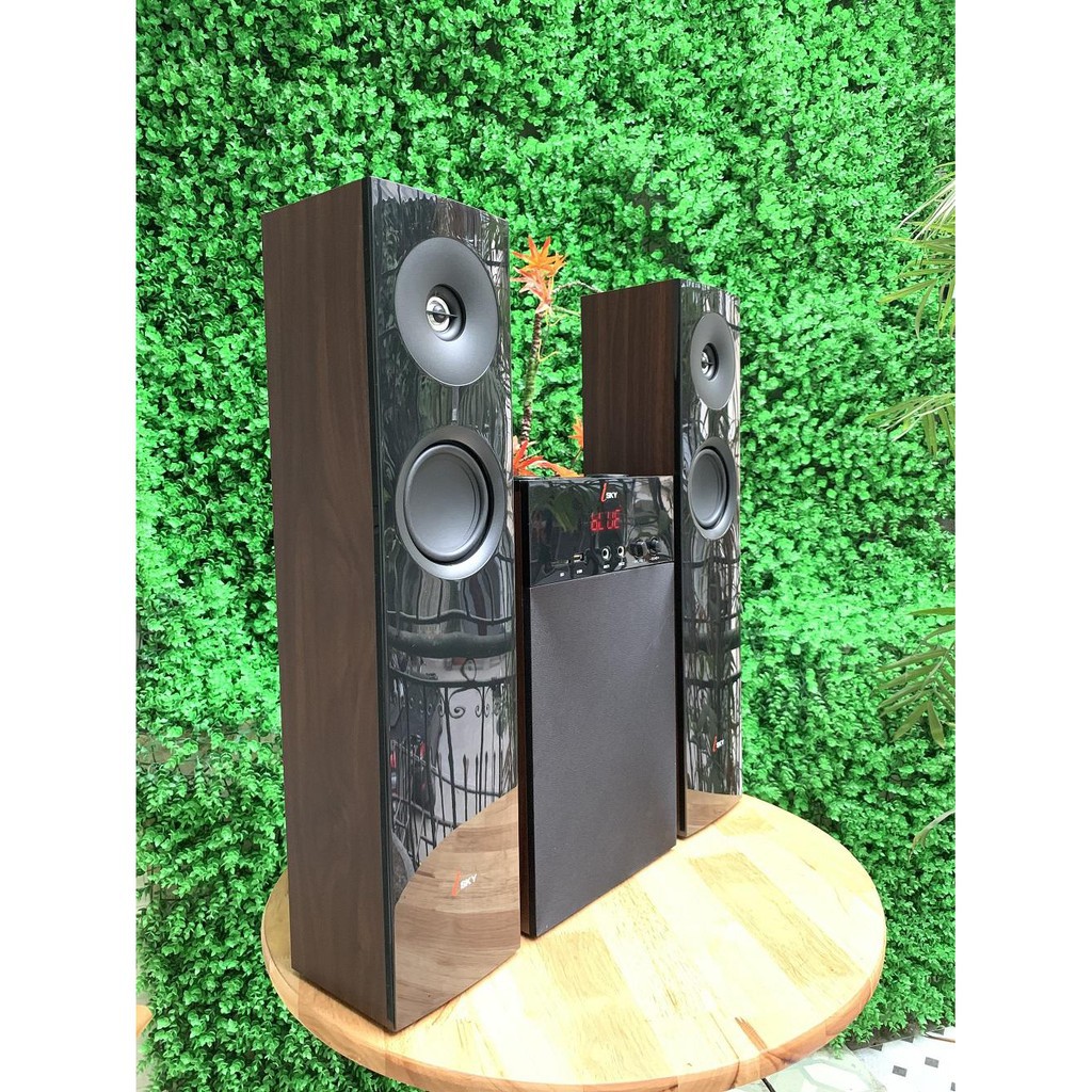 Loa Bluetooth để kệ TV Skynew SKN-325 vân gỗ, tích hợp bluetooth hát karaoke, âm thanh siêu Bass