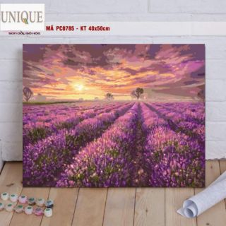 (Loại Khung Dày)Tranh số hóa mã PC0785 Cánh Đồng Hoa Lavender đã căng khung và đầy đủ phụ kiện