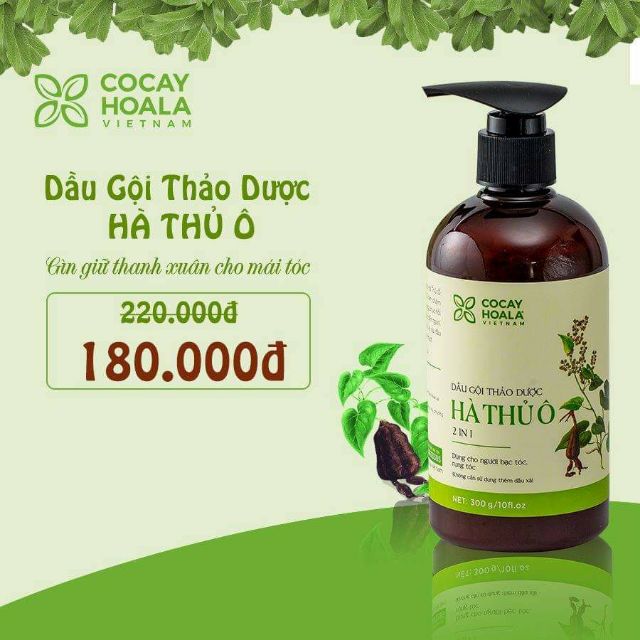 Dầu gội hà thủ ô _ cây cỏ hoa lá