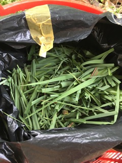 Lá sả khô nhà trồng