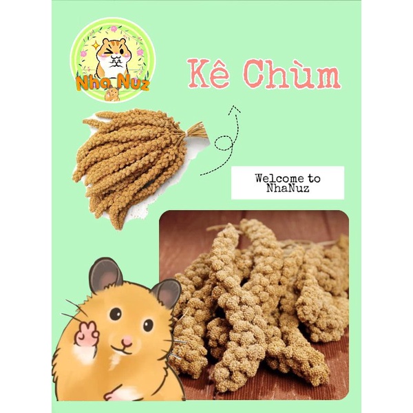 Hạt Kê Chùm