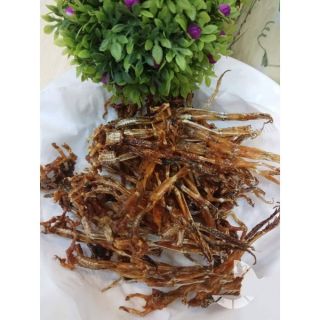 KHÔ NHÁI ( VŨ NỮ CHÂN DÀI )